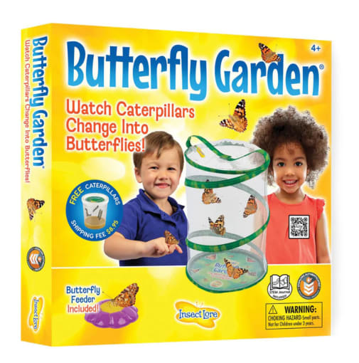 Live Butterfly Garden