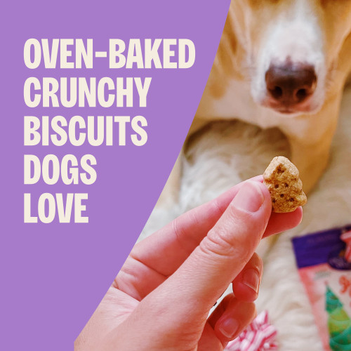 The benefits of Old Mother Hubbard Seasonal P-Nuttier (Peanut Butter)