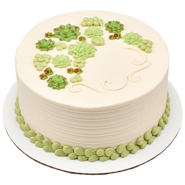 Succulents Sweet Décor® Edible Decorations