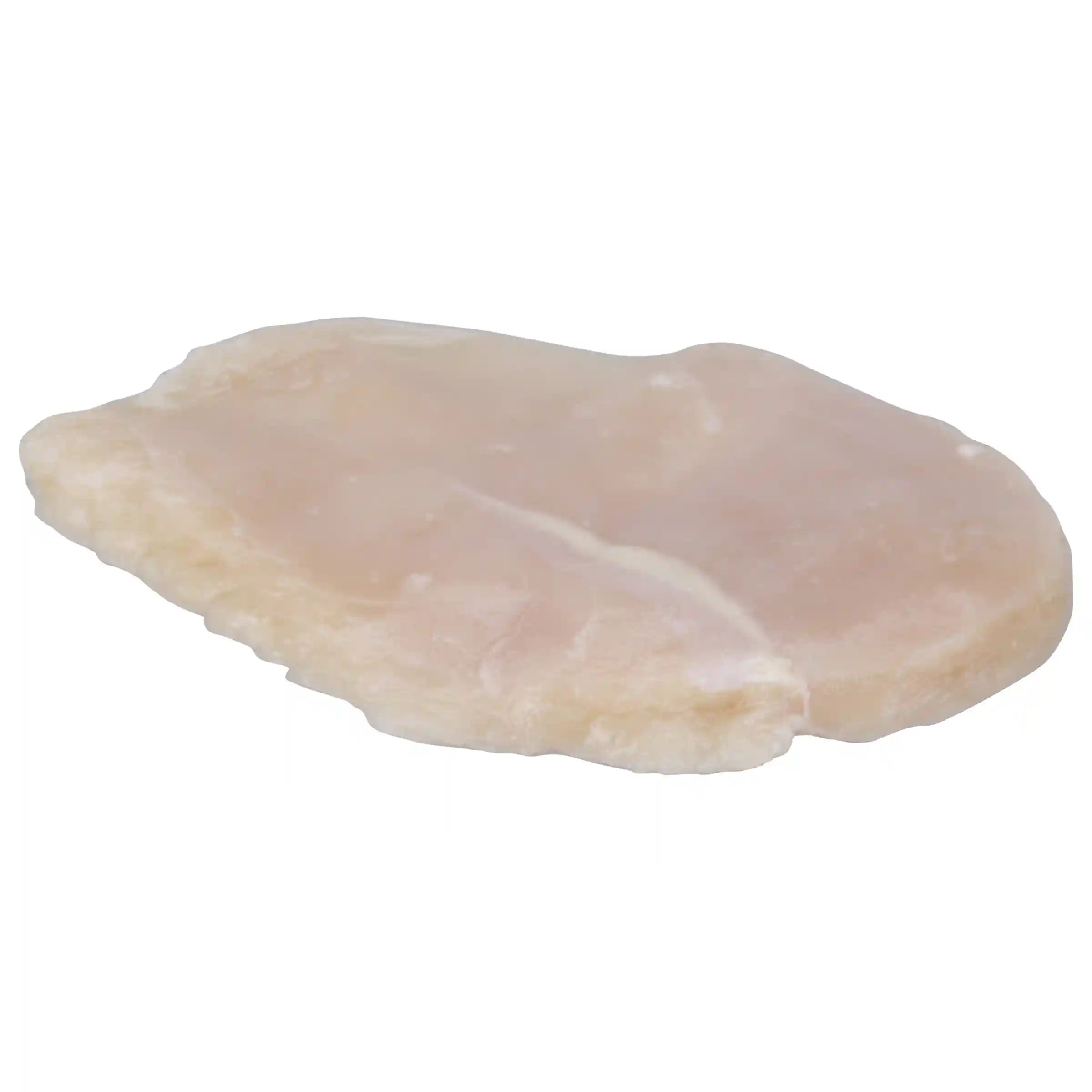  Tyson® Uncooked, Ice Glazed Boneless Skinless Chicken Breast Filets with Rib Meat_image_2