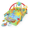 Sunny Safari™ Baby's Play Place™ Activity Gym