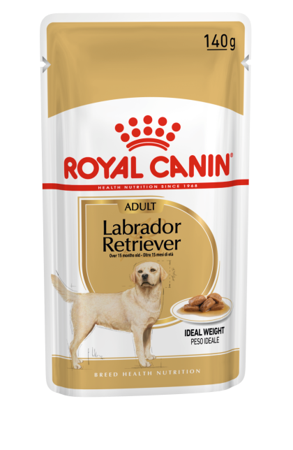Labrador Retriever Adult (in gravy)