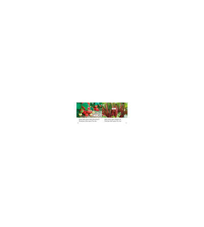 s--drQ5HFJN--/gvg0jd5xzyvlfv4lzaxp.jpg