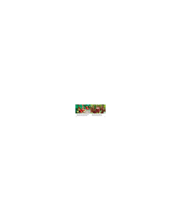 s--drQ5HFJN--/gvg0jd5xzyvlfv4lzaxp.jpg