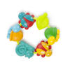 Buggy Bites Teether™