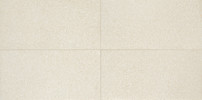 Accra White 12×24 Field Tile Light Polished Rectified