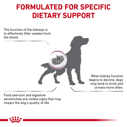 Renal Support S Dry Dog Food (Packaging May Vary)
