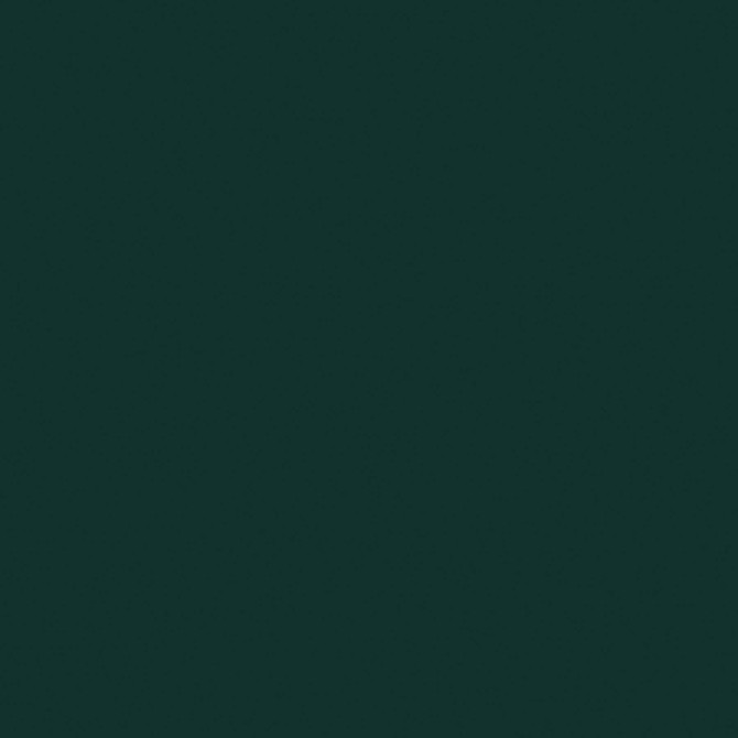 Color Variation Image