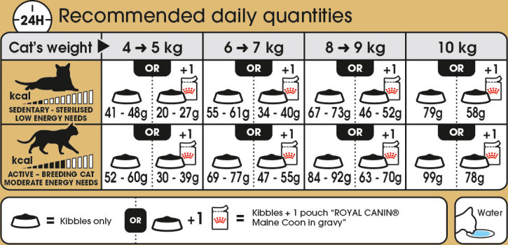 Feeding Guide