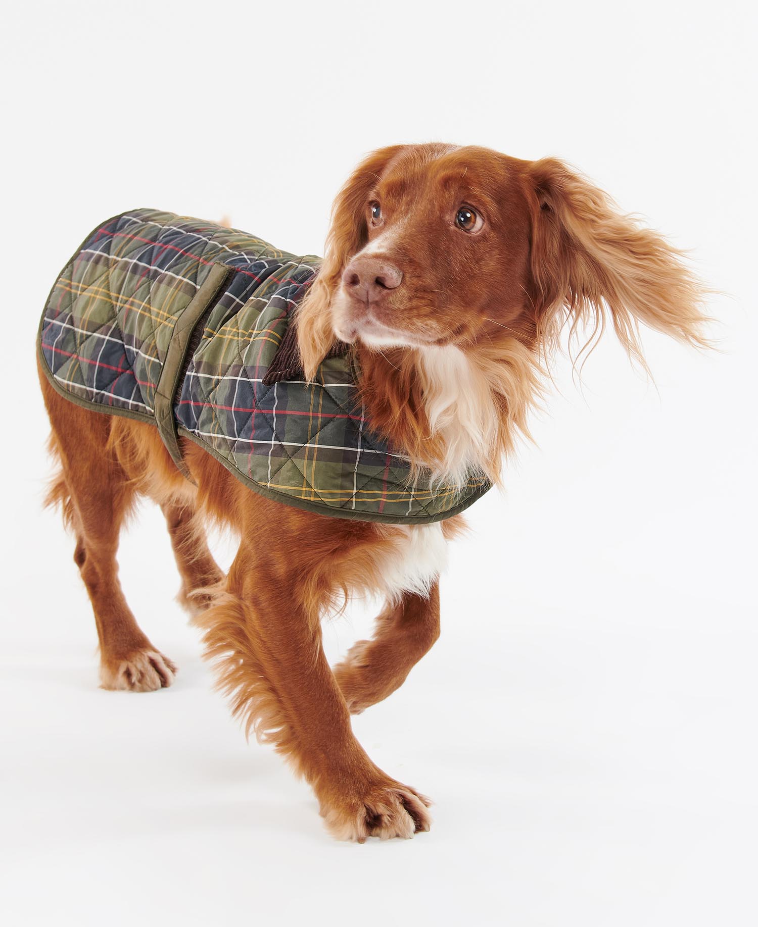 Cappotto per cani Tartan image number 1