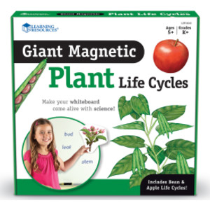Giant Magnetic Plant Life Cycle, Set of 12