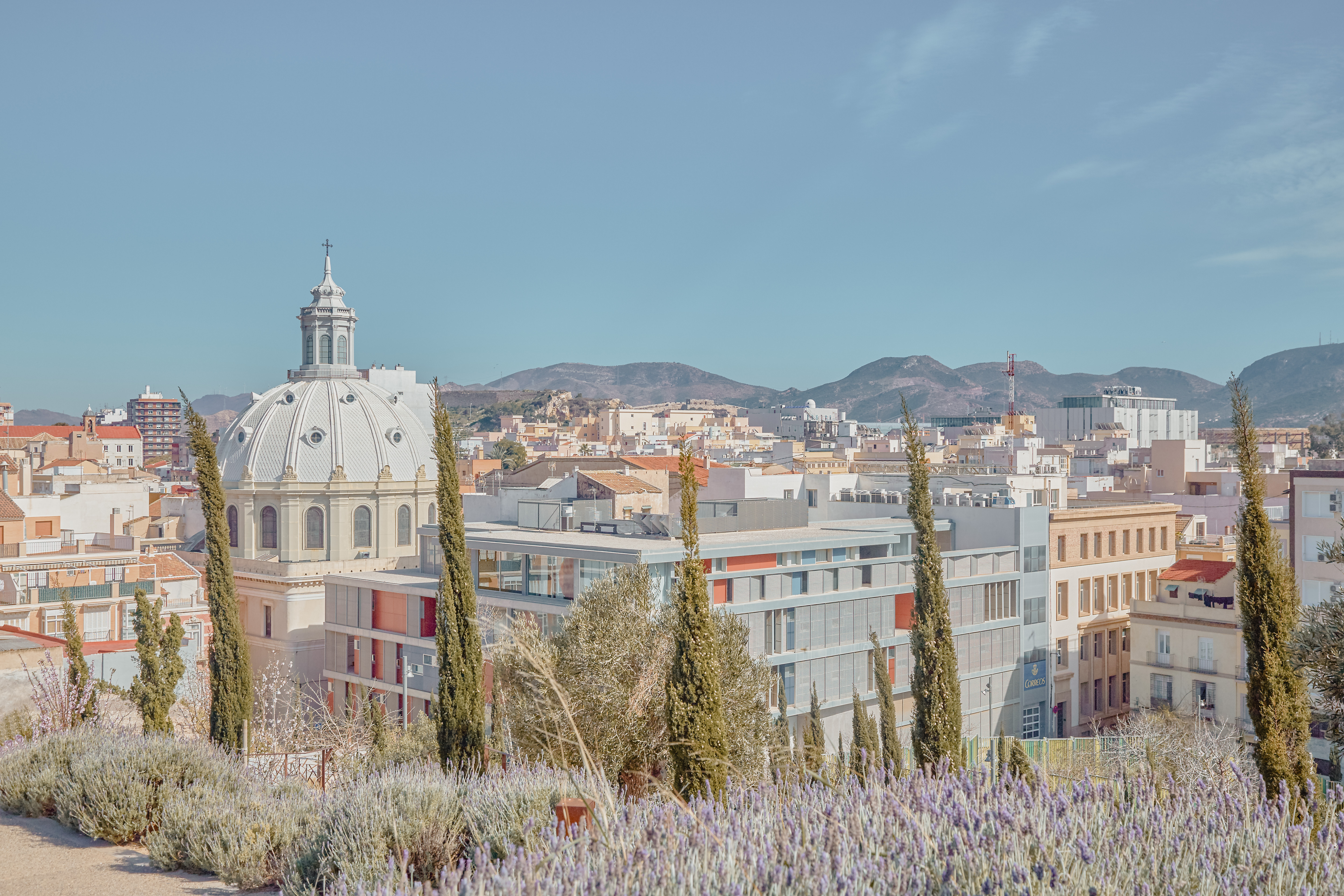 Civitavecchia (Rome) → Barcelona (20 nights)