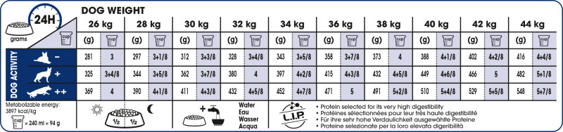 Feeding Guide