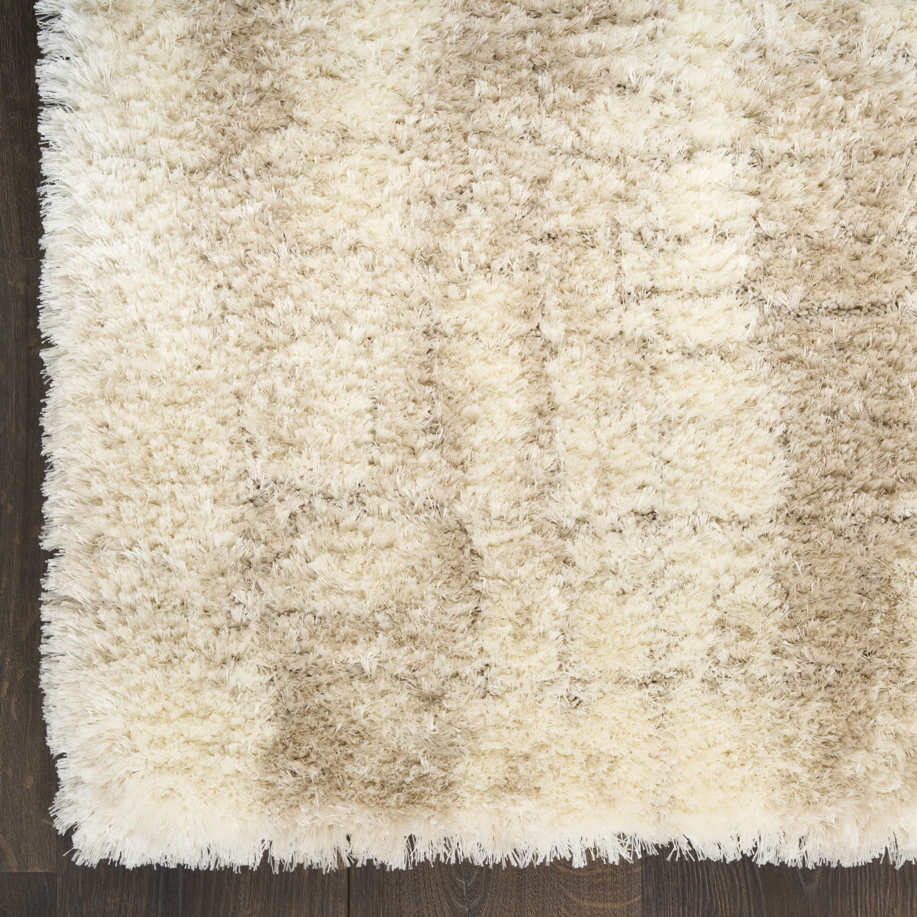 Nourison Dreamy Shag 4' x 6' Ivory Beige Modern Indoor Rug