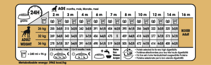 Boxer Puppy feeding guide