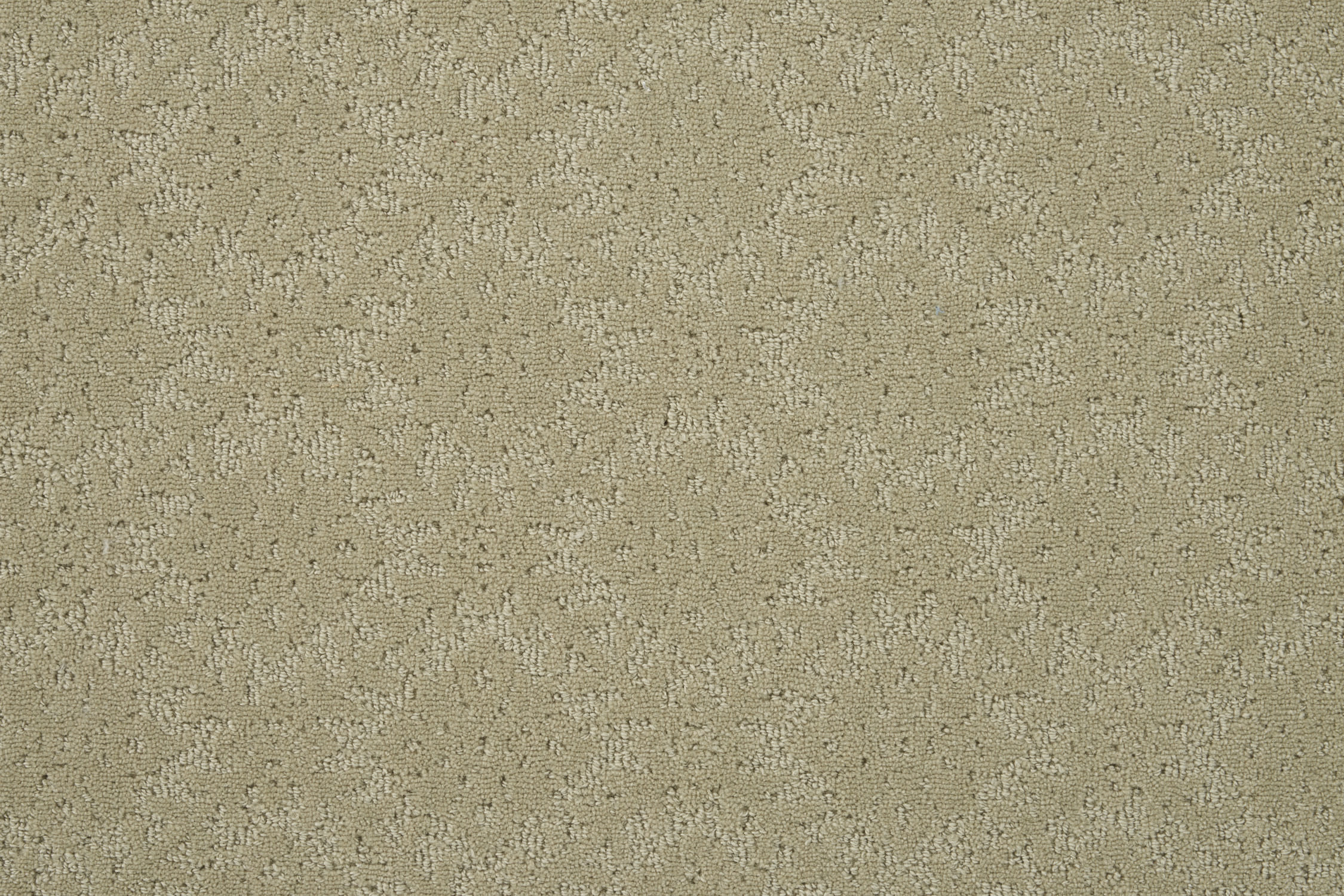 color-rug1