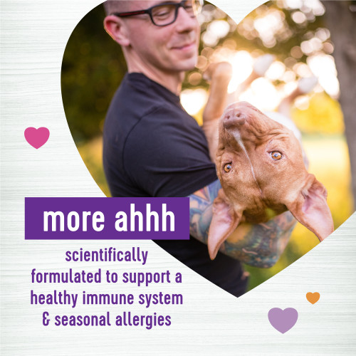 The benifts of Wellness Supplements Immunity/Allergy