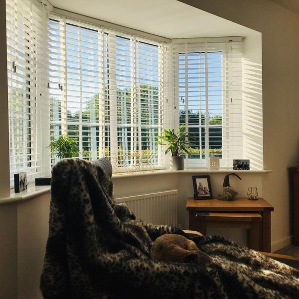 White horizontal slatted blinds covering a bay window; slats tilted open, filtering sunlight. Cozy living room bay with plants on sill, armchair draped in faux fur and small side table.