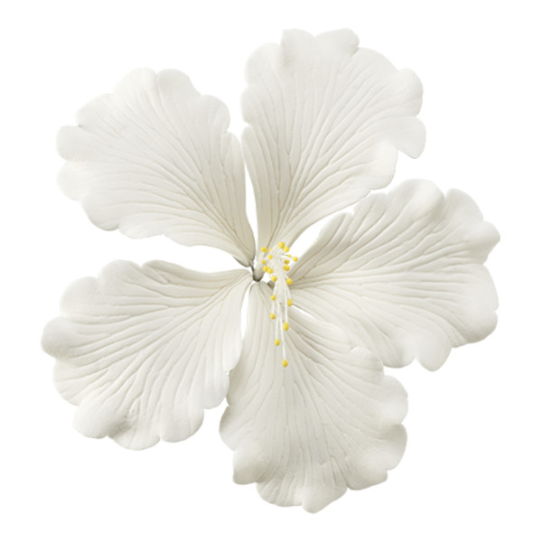 White Hibiscus - Red 3 Free Gum Paste Flowers