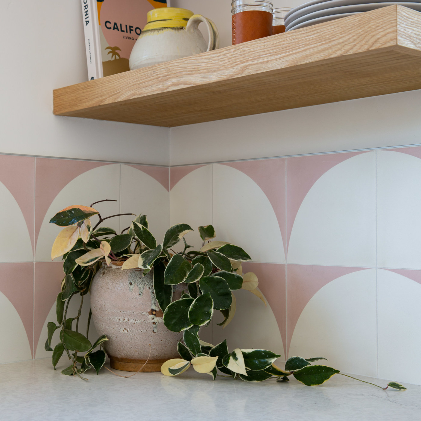 a pink and white kitchen backsplash with a potted plant in front.