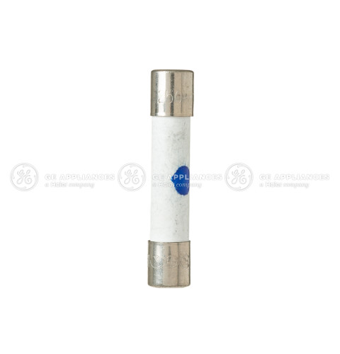FUSE 12A~250V