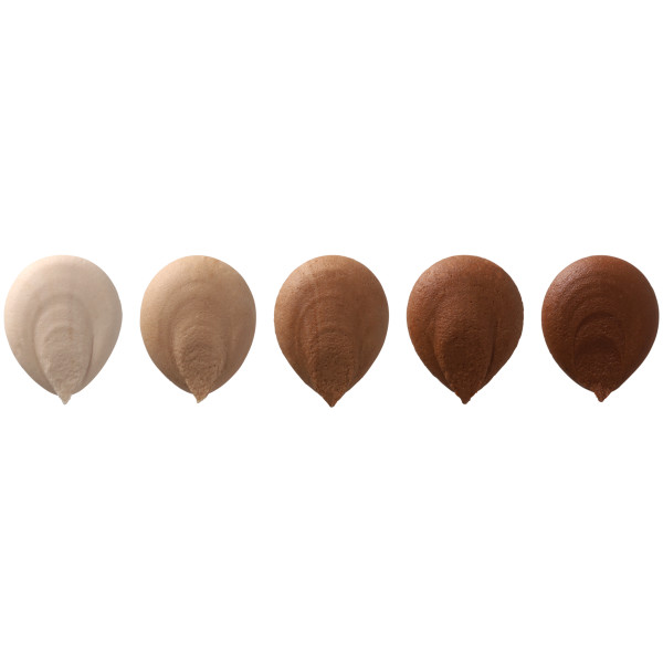 Brown Made Simply™ Premium Gel Color