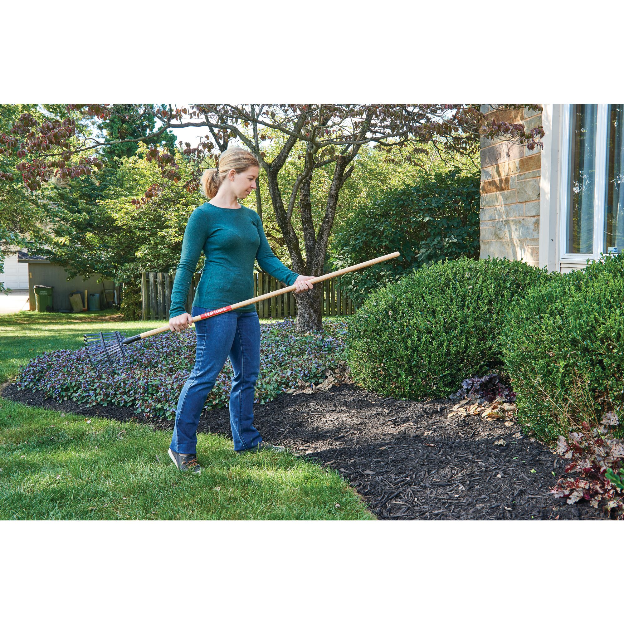 11 tine wood handle shrub rake is a great way to rake up fallen leaves.