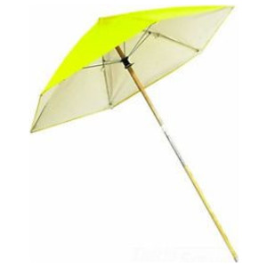 D Umbrella with Wooden Pole