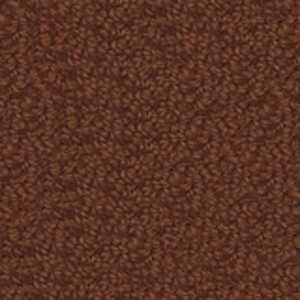 color-rug1