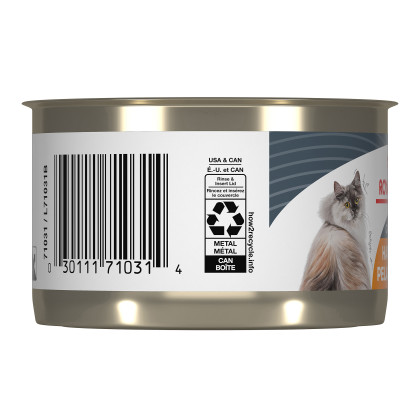 Royal Canin Feline Care Nutrition Hair & Skin Care Loaf In Sauce Canned Cat Food