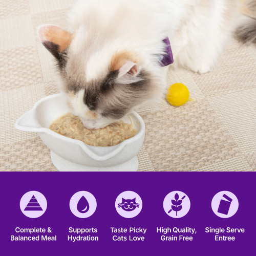 The benefits of Wellness Appetizing Entrees Mousse Chicken & Turkey