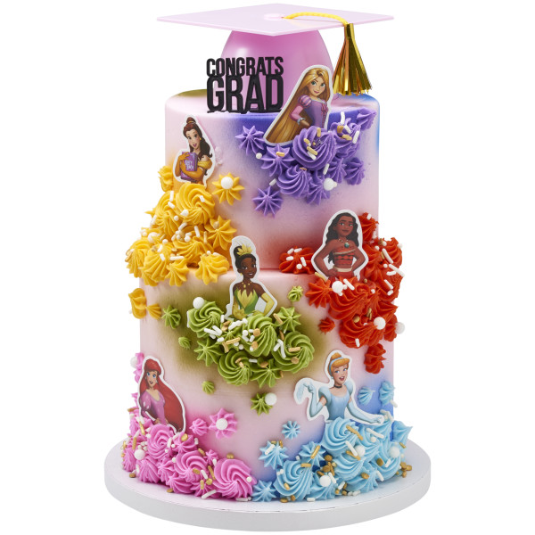 Disney Princess Assortment Poly DecoPics®