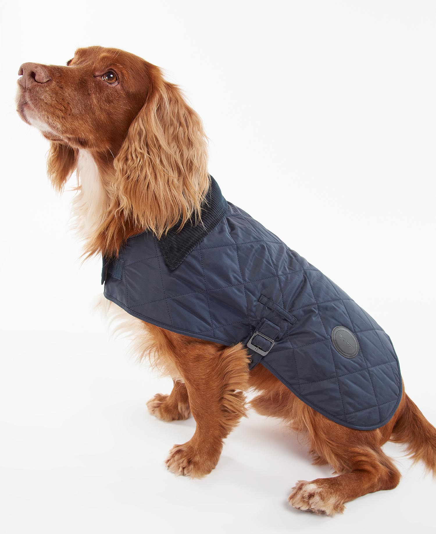Quilted Dog Coat image number 1