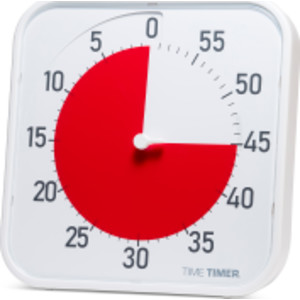 Original 12" Timer (White with Red Disk)