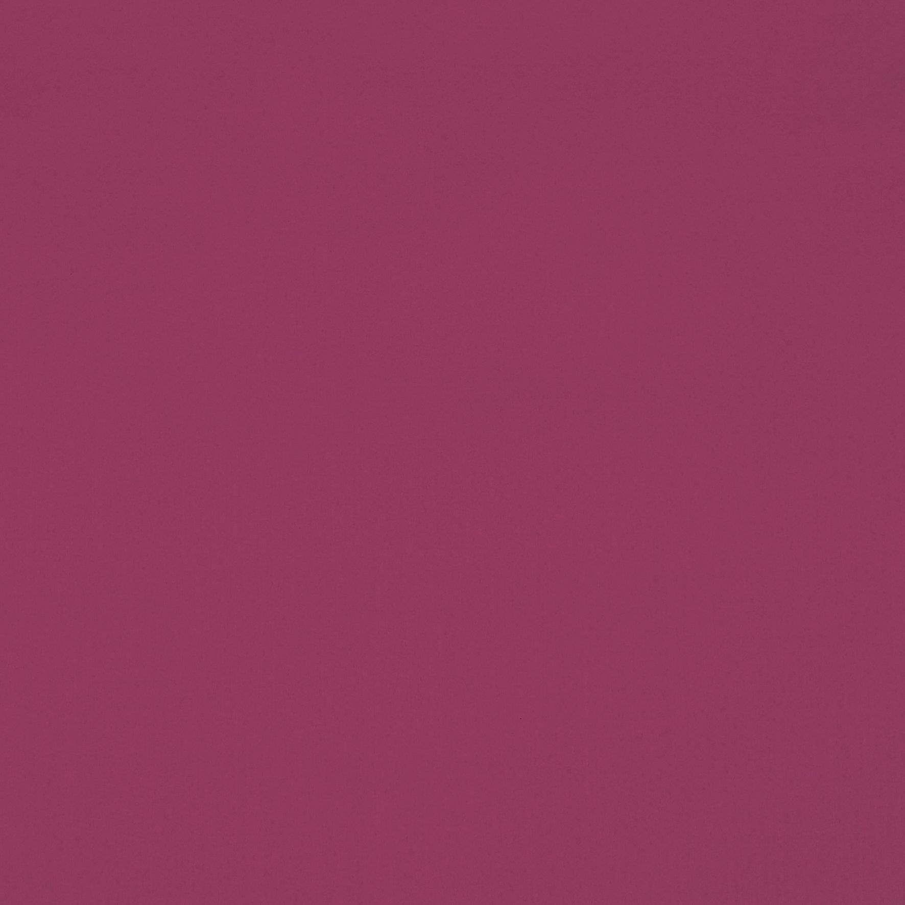 Reber Fuchsia Roller Blind