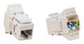 Cat 6 Modular IDC Terminal 568A/B Gold Nickel 8