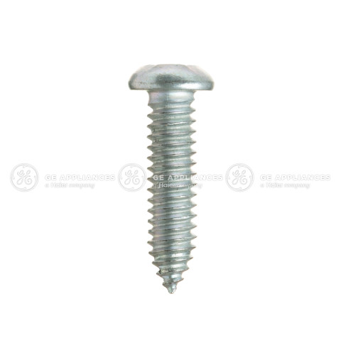 SCREW  1/4-20 TT BHT .87