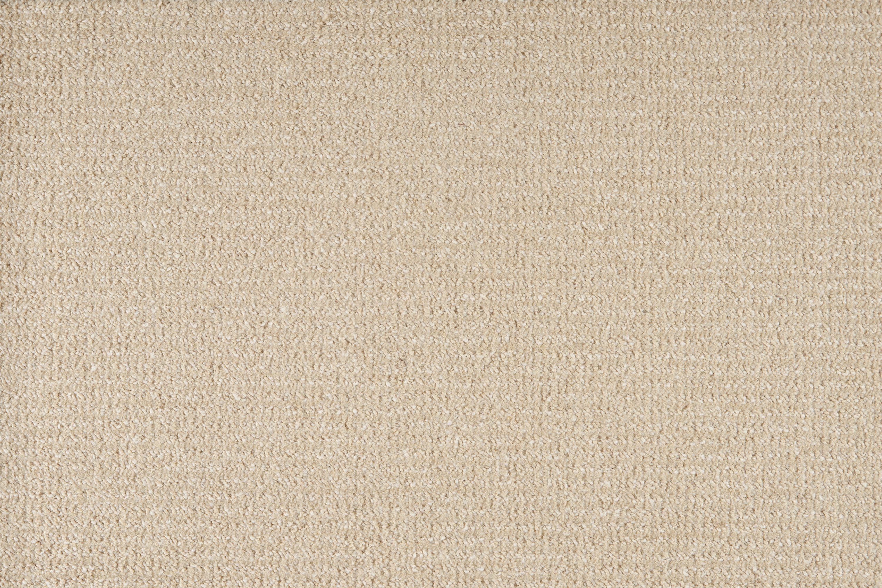 color-rug1