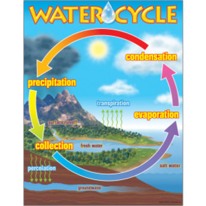 The Water Cycle Learning Chart, 17" x 22"