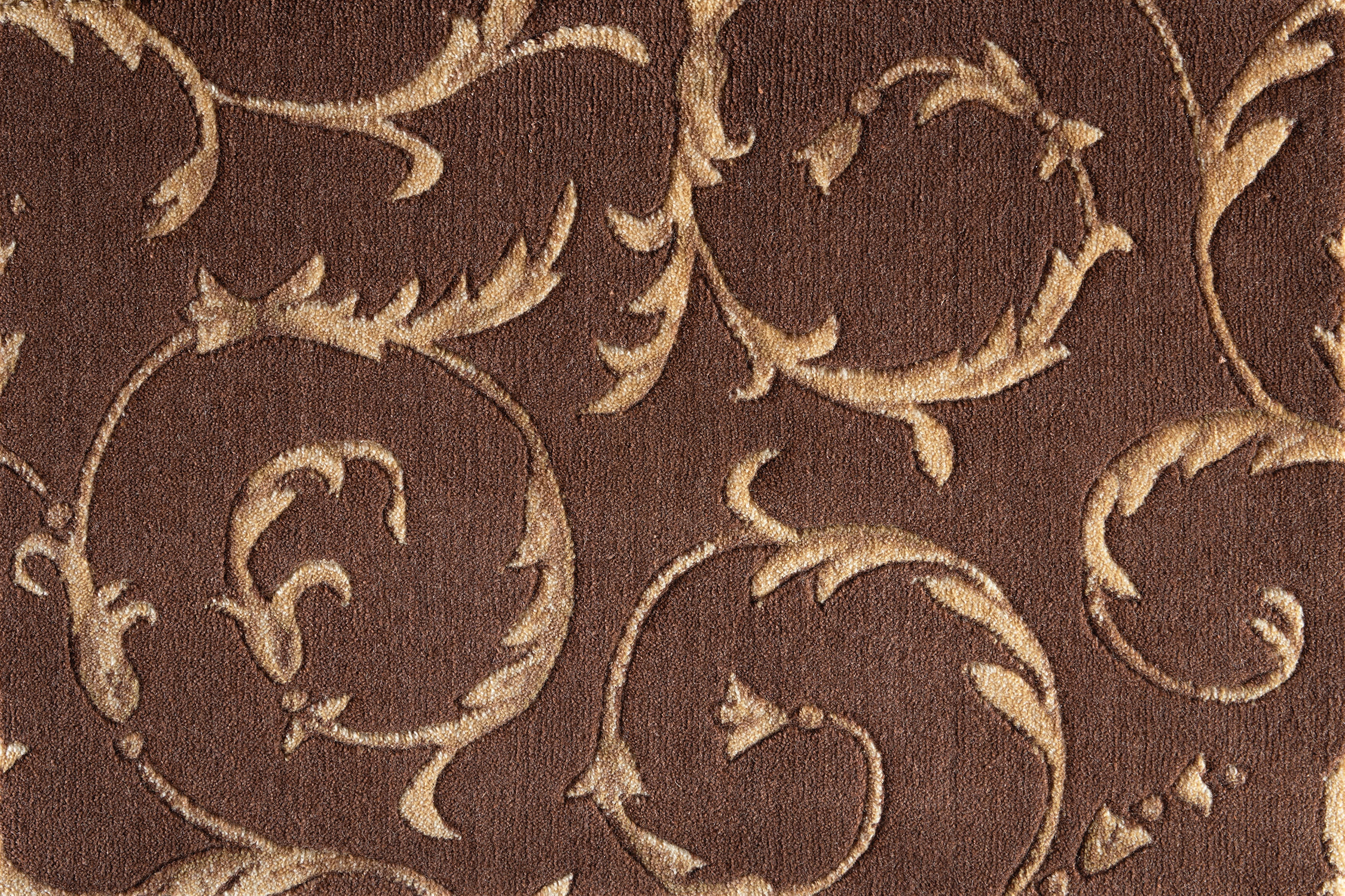 color-rug1