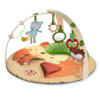 Simply Bright Starts™ Fox & Friends Activity Gym