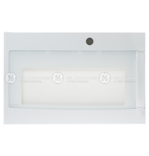 DOOR ASSEMBLY