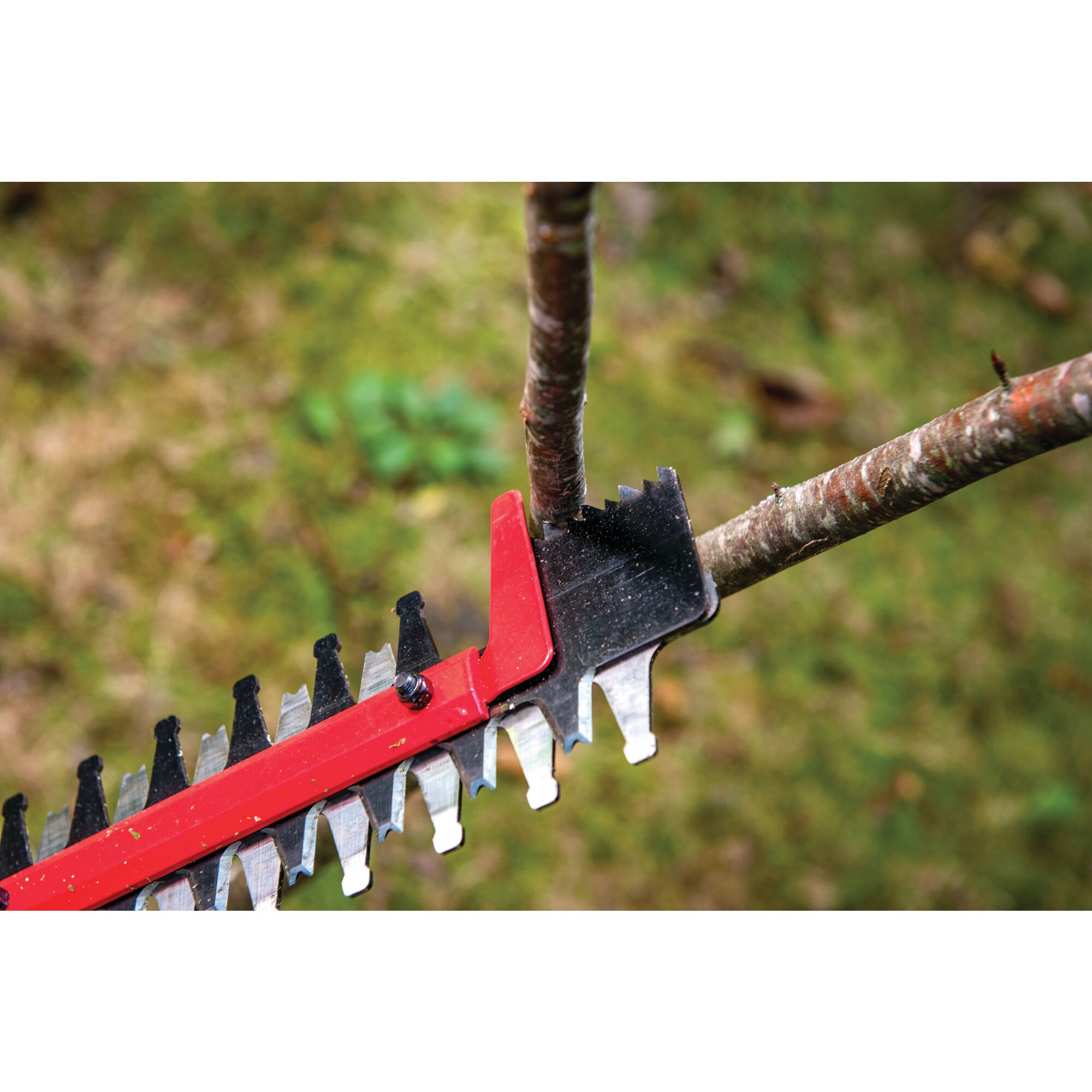 Precise hedge trimming feature of cordless 24 inch hedge trimmer kit 2.5 Ampere hours.