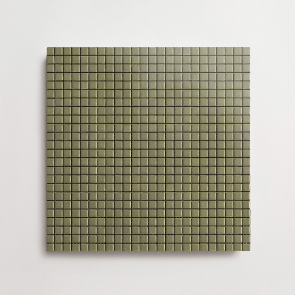 Lido | Lumiere | Confetti | Succulent Garden | Matte