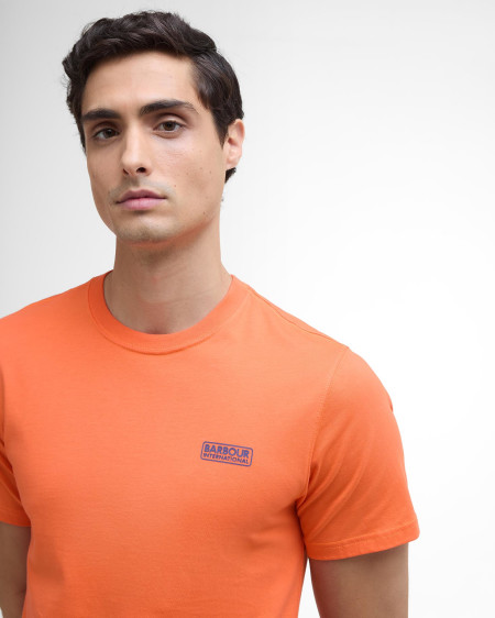 Small Logo T-Shirt