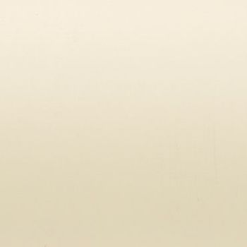 Cream-colored wall with subtle grain and minor scuffs (object), appearing unadorned and uniform (action), evenly illuminated by soft diffuse light, suggesting a neutral indoor surface (context).