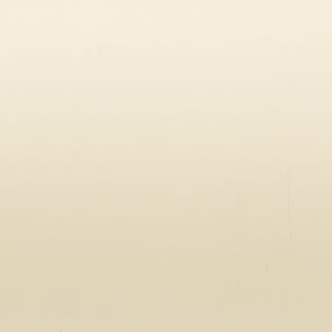 Cream-colored wall with subtle grain and minor scuffs (object), appearing unadorned and uniform (action), evenly illuminated by soft diffuse light, suggesting a neutral indoor surface (context).