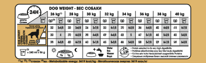 Golden Retriever Adult feeding guide