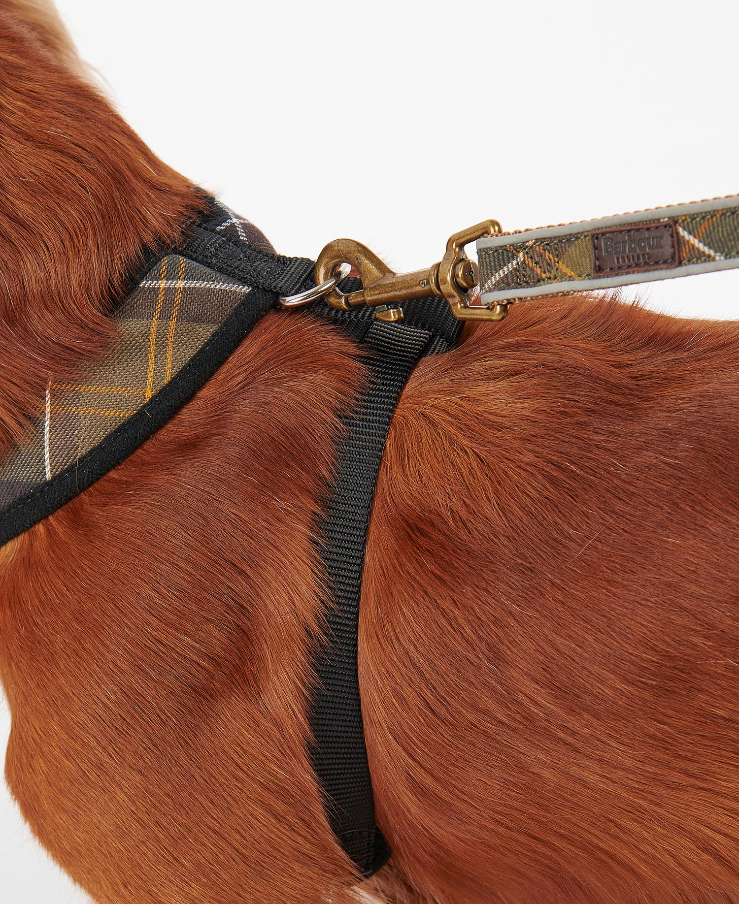 Tartan Dog Harness image number 4