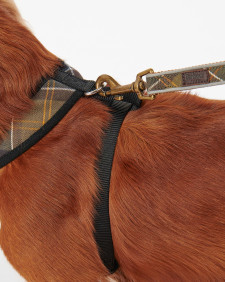 Tartan Dog Harness Classic Tartan